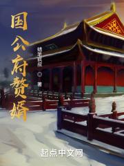 国公府赘婿校对版