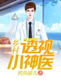 乡村透视小神医林飞完整版